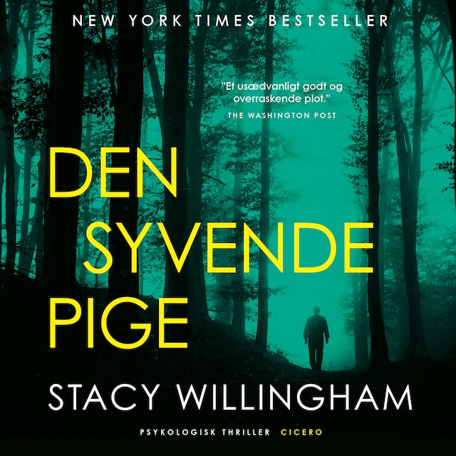 Book cover for Den syvende pige