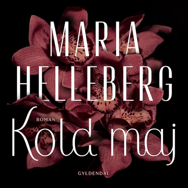Book cover for Kold maj