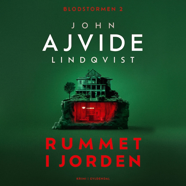 Book cover for Rummet i jorden