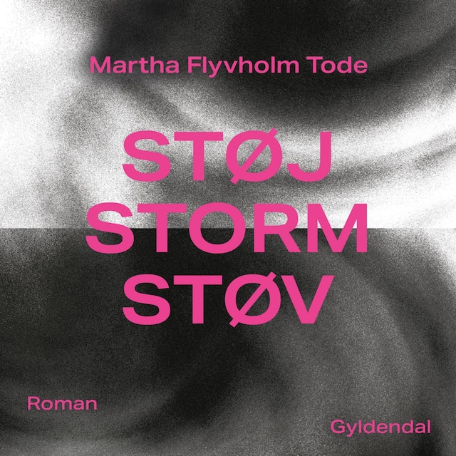 Buchcover für Støj, storm, støv