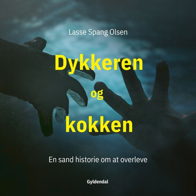 Boekomslag van Dykkeren og kokken