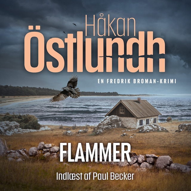 Book cover for Fredrik Broman 3 - Flammer