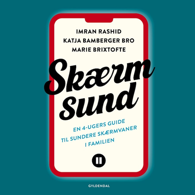 Book cover for Skærmsund