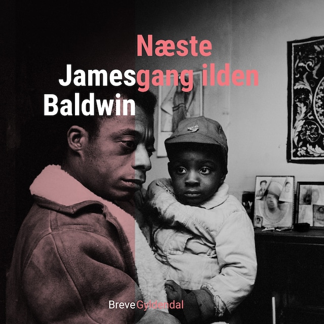 Book cover for Næste gang ilden