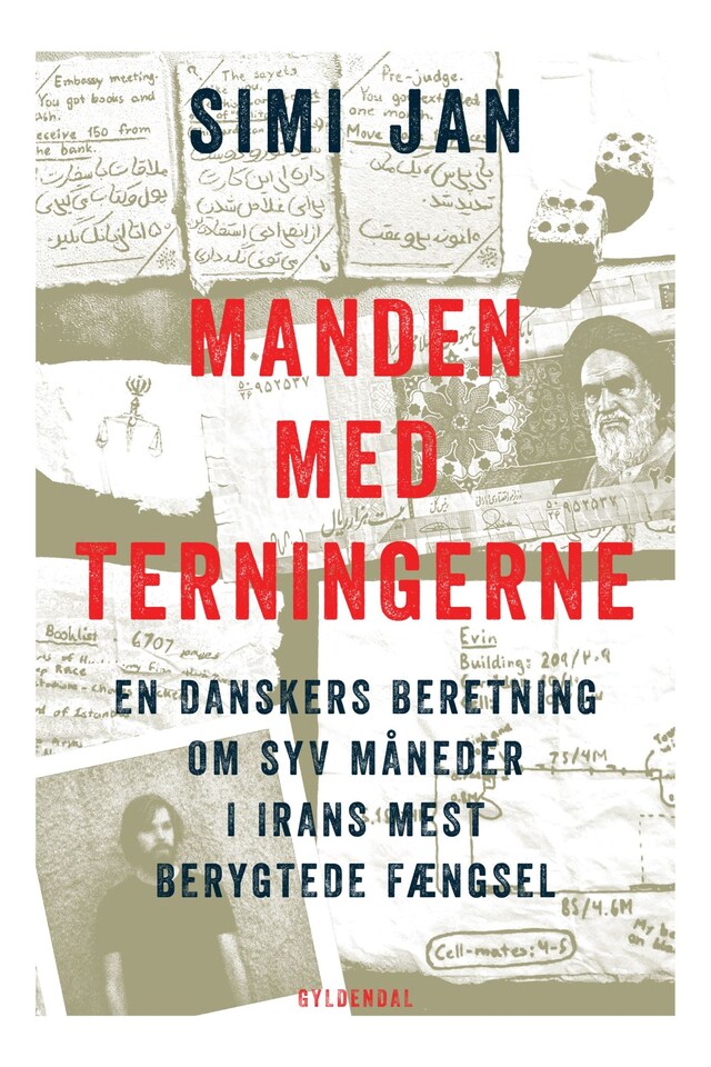 Book cover for Manden med terningerne