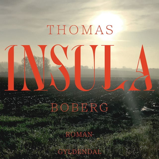 Book cover for Insula