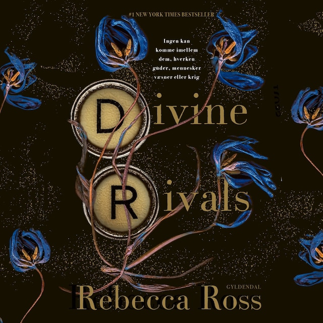 Book cover for Divine Rivals