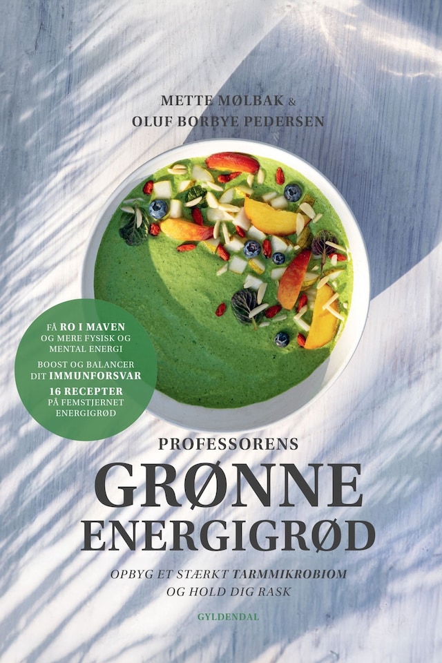 Buchcover für Professorens grønne energigrød