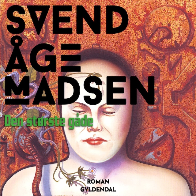 Book cover for Den største gåde