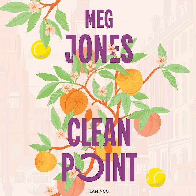 Buchcover für Clean Point