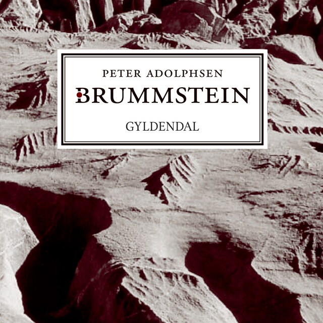 Book cover for Brummstein