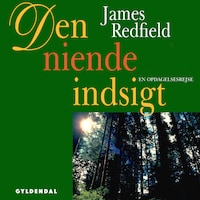Den niende indsigt