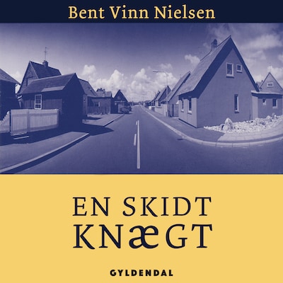 En skidt knægt