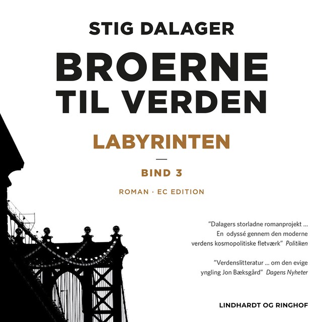 Boekomslag van Labyrinten - Broerne til verden 3