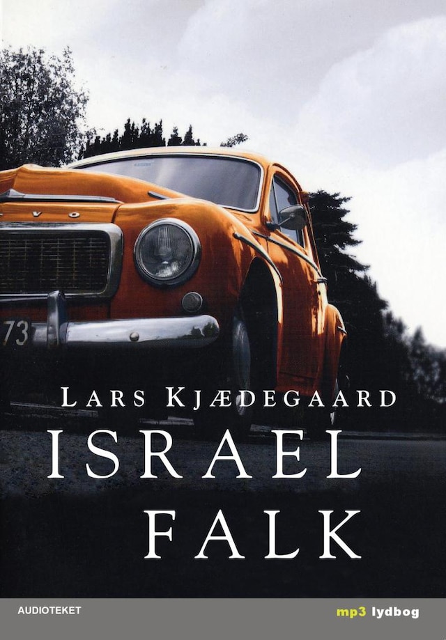 Couverture de livre pour Israel Falk