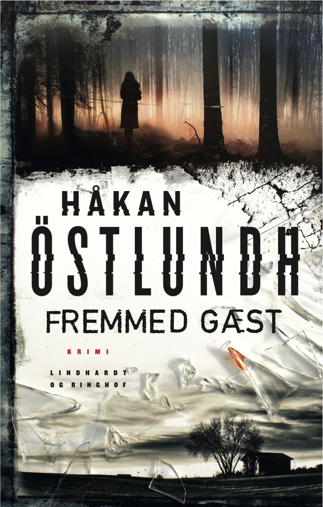 Book cover for Fremmed gæst