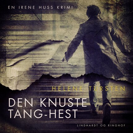 Den knuste tang-hest bookCoverFor