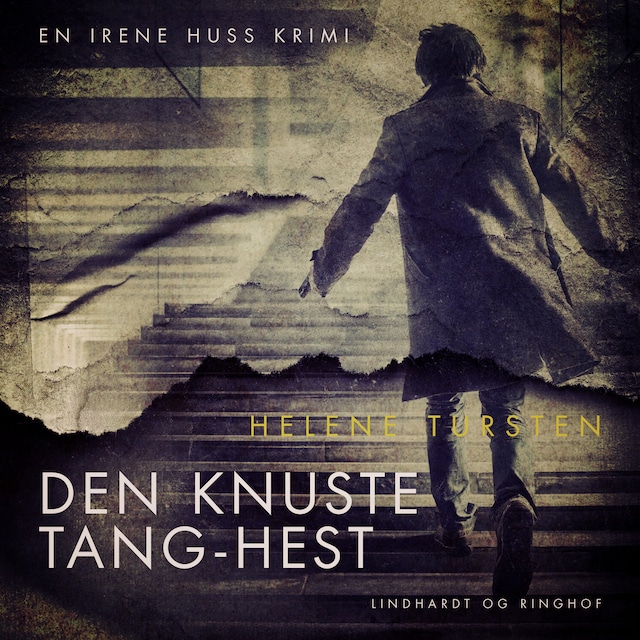 Book cover for Den knuste tang-hest