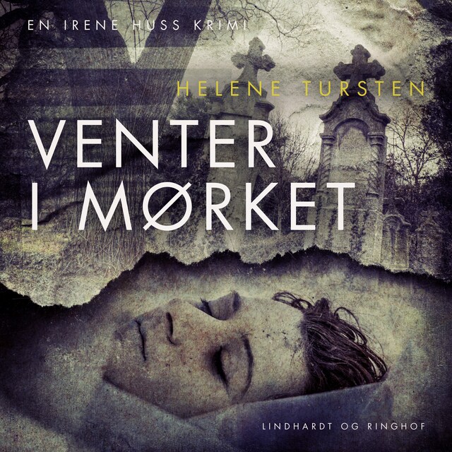 Okładka książki dla Venter i mørket