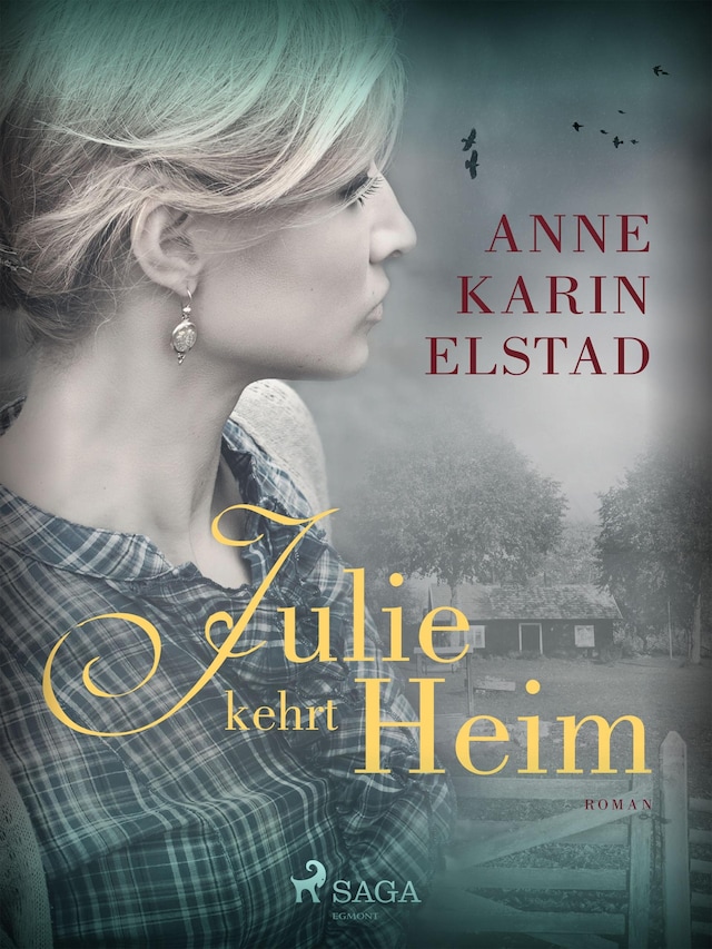 Book cover for Julie kehrt heim
