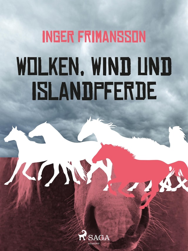 Buchcover für Wolken, Wind und Islandpferde