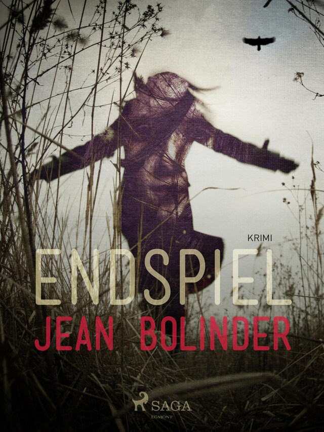 Book cover for Endspiel