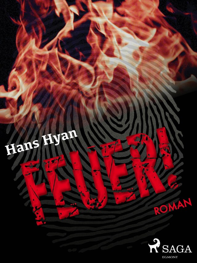 Book cover for Feuer!