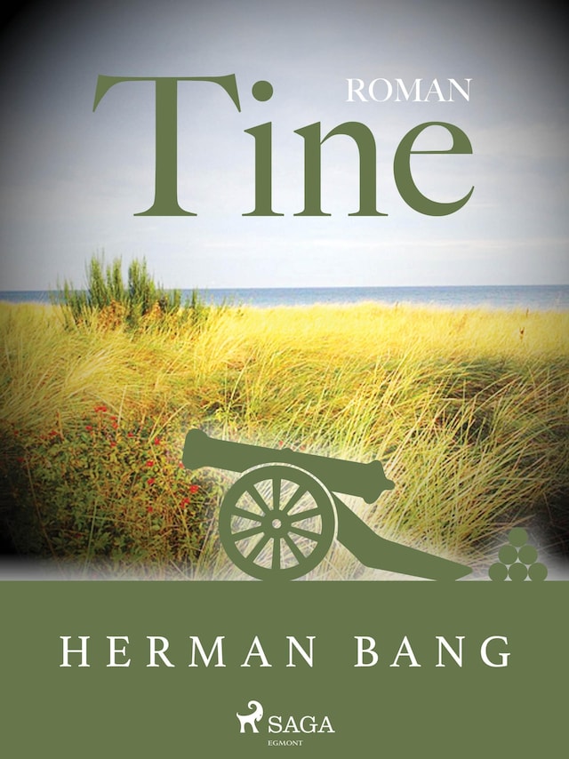 Book cover for Tine
