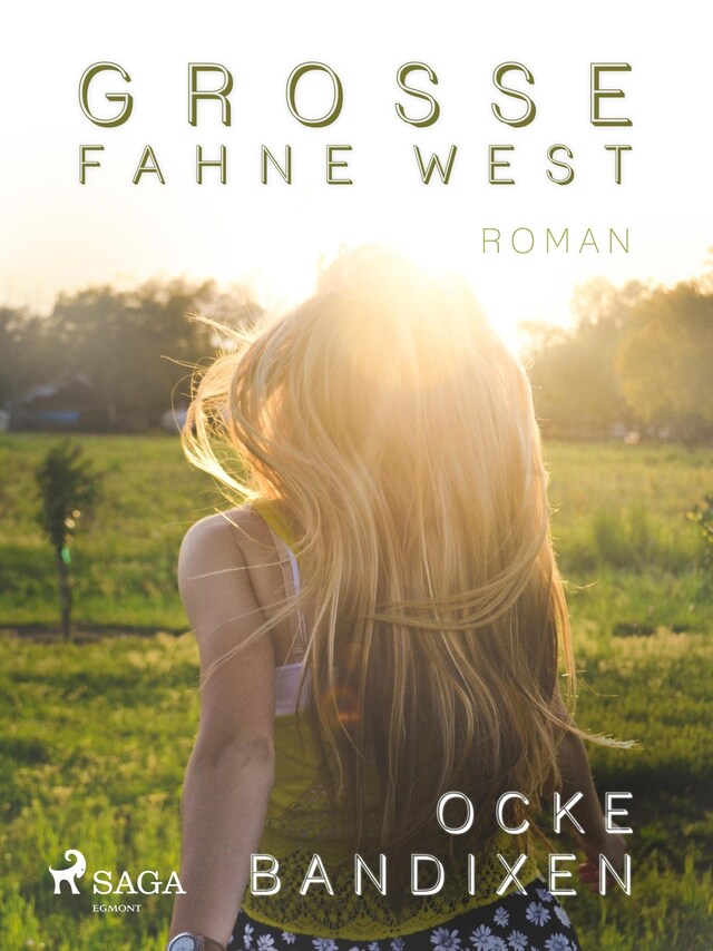 Buchcover für Grosse Fahne West