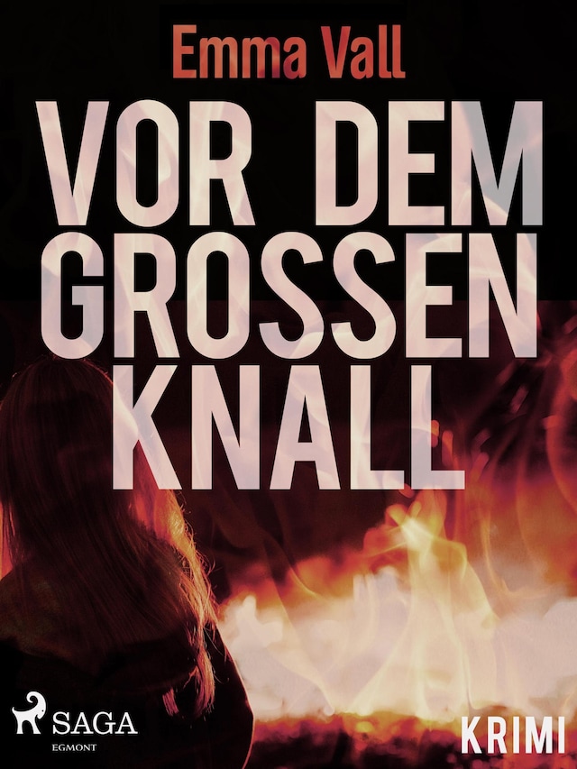 Book cover for Vor dem großen Knall