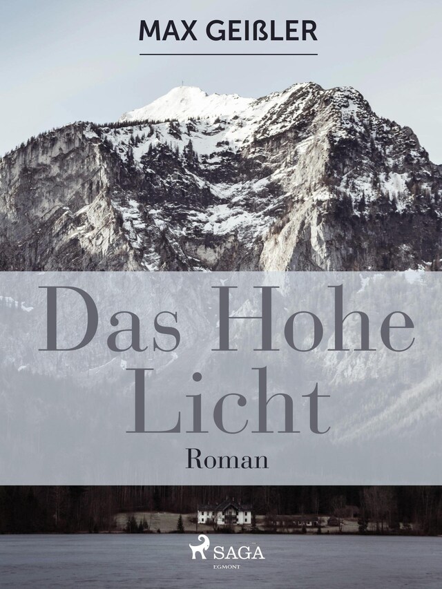 Book cover for Das hohe Licht