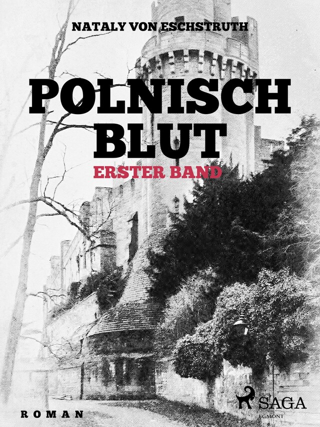 Book cover for Polnisch Blut - erster Band