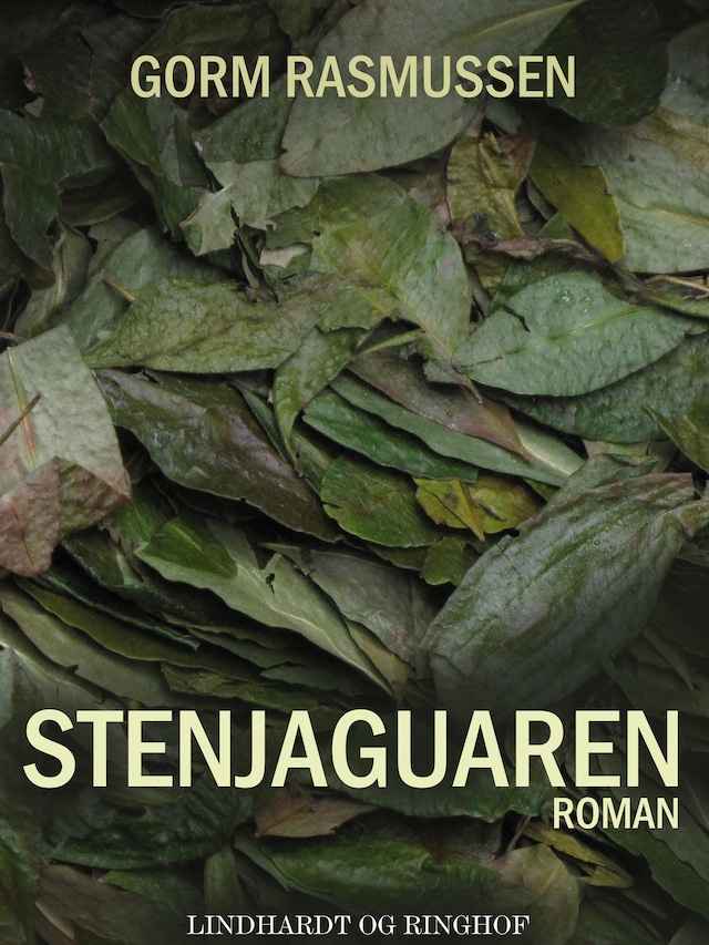 Bogomslag for Stenjaguaren