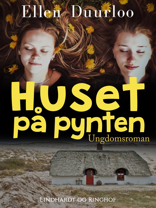 Bogomslag for Huset på pynten