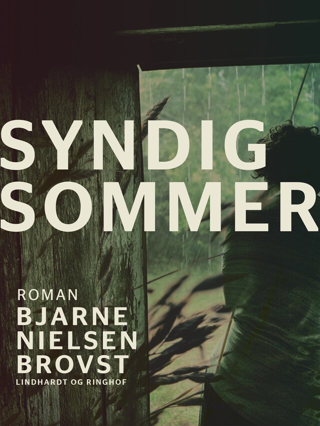 Bogomslag for Syndig sommer