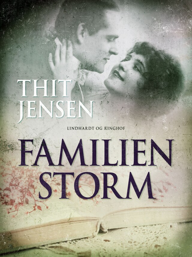 Book cover for Familien Storm