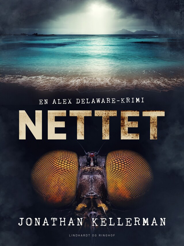 Book cover for Nettet