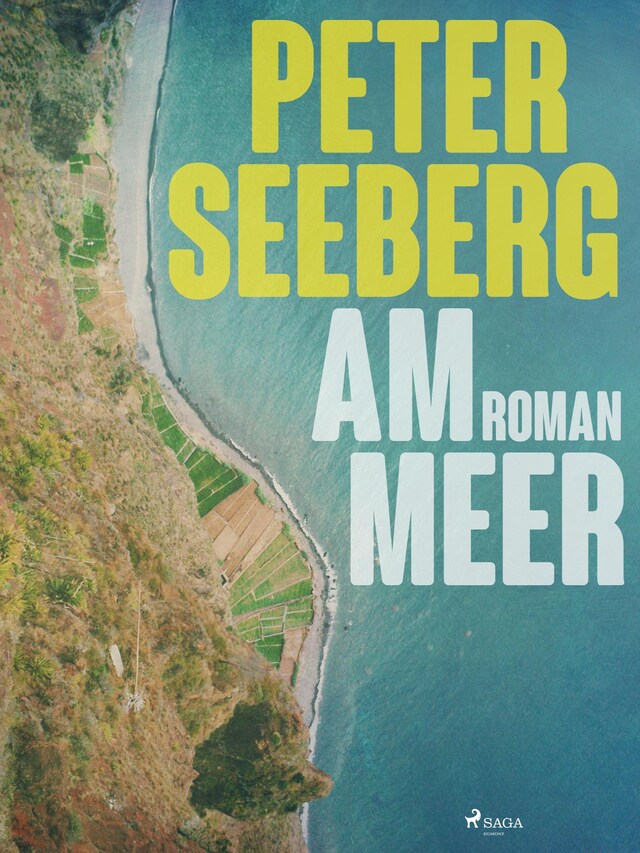 Okładka książki dla Am Meer