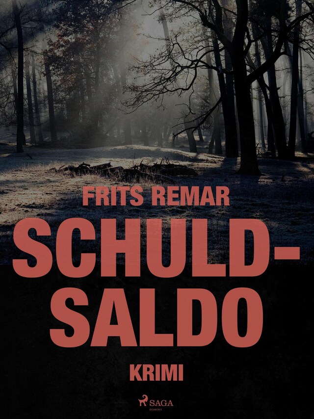 Book cover for Schuldsaldo