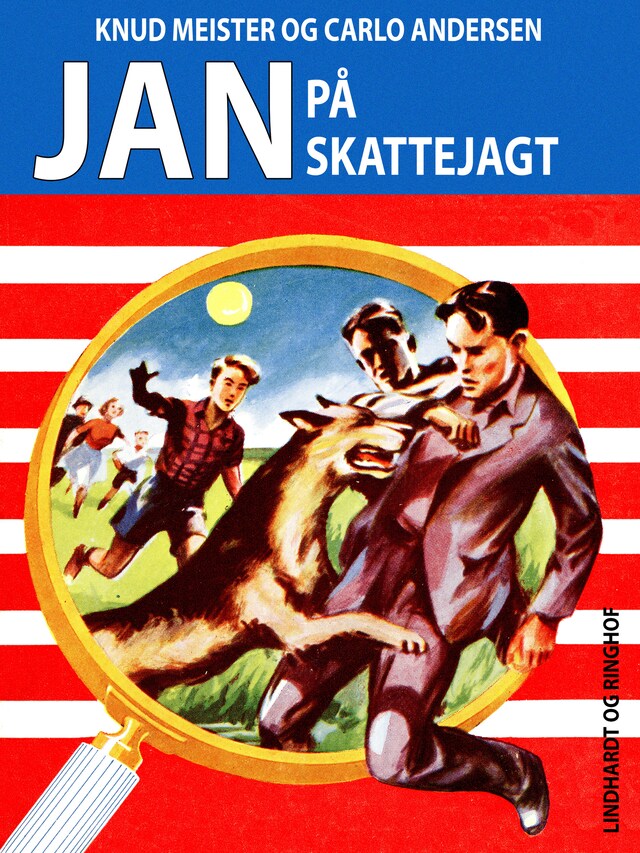 Bogomslag for Jan på skattejagt