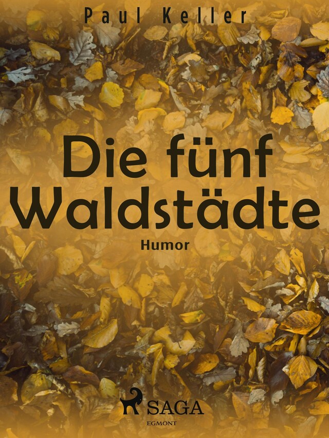 Book cover for Die fünf Waldstädte