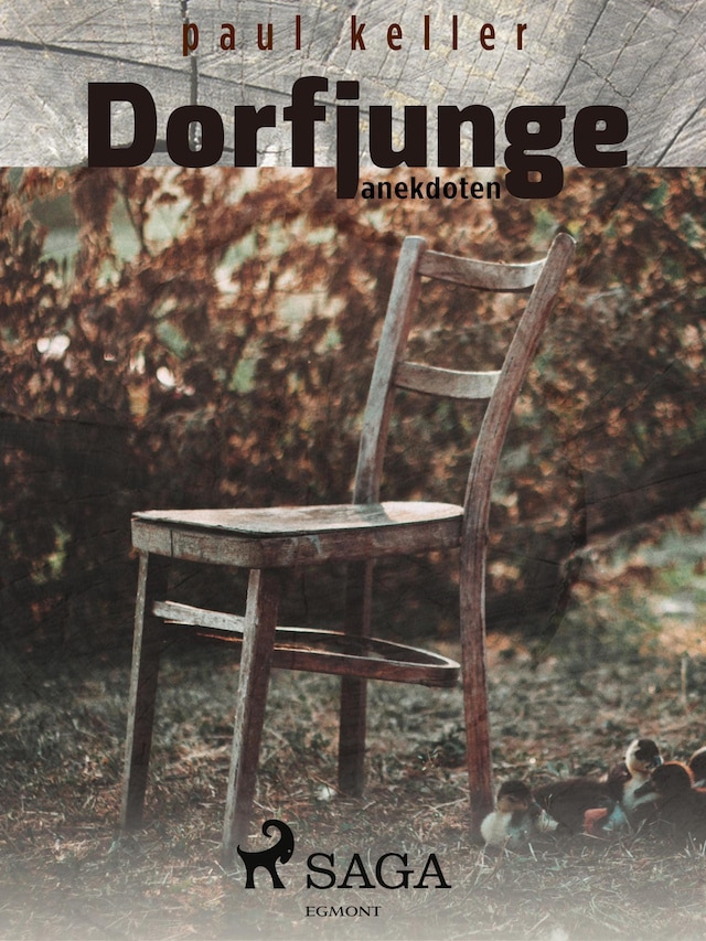 Book cover for Dorfjunge