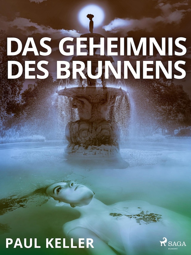 Book cover for Das Geheimnis des Brunnens