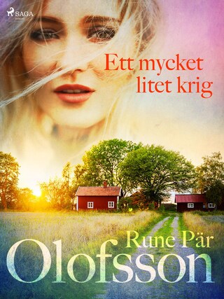 Ett mycket litet krig bookCoverFor