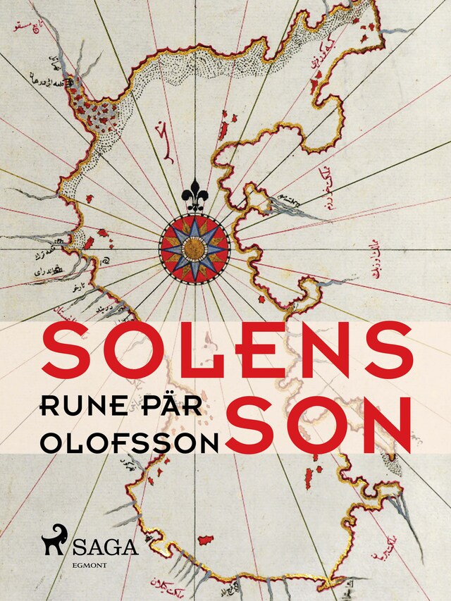 Okładka książki dla Solens son