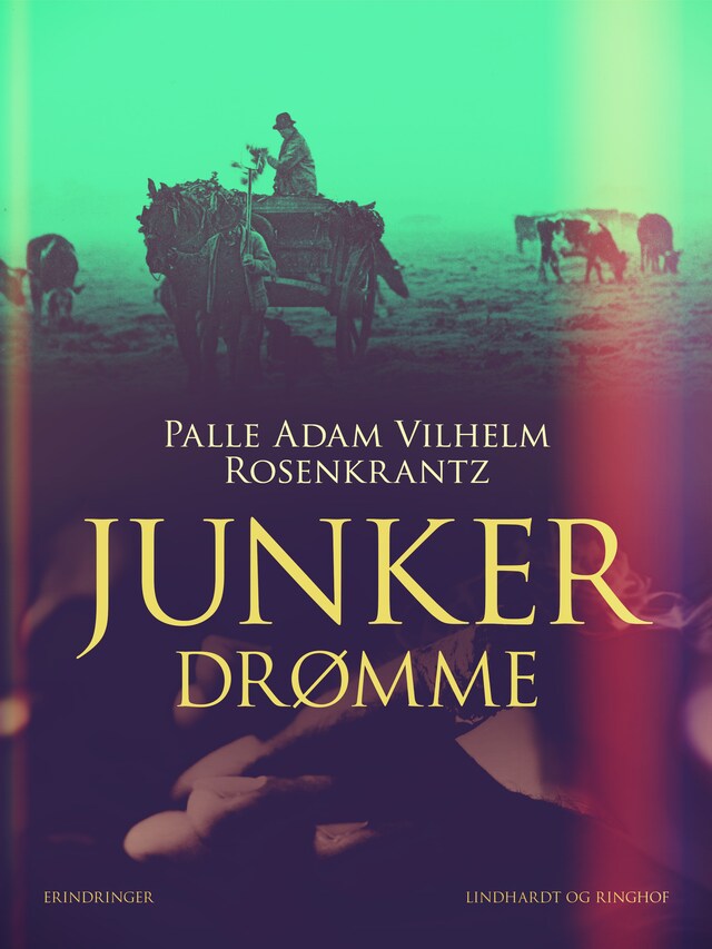 Book cover for Junkerdrømme