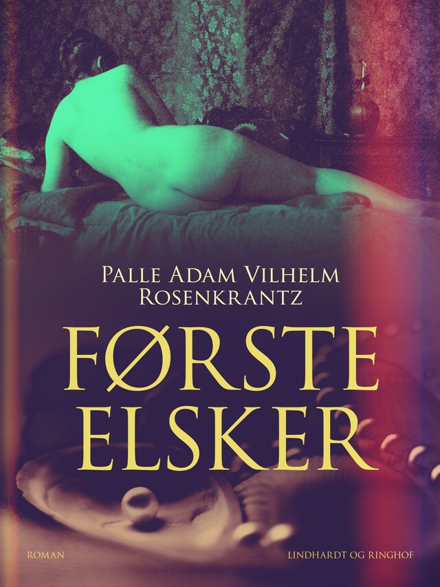 Book cover for Første elsker