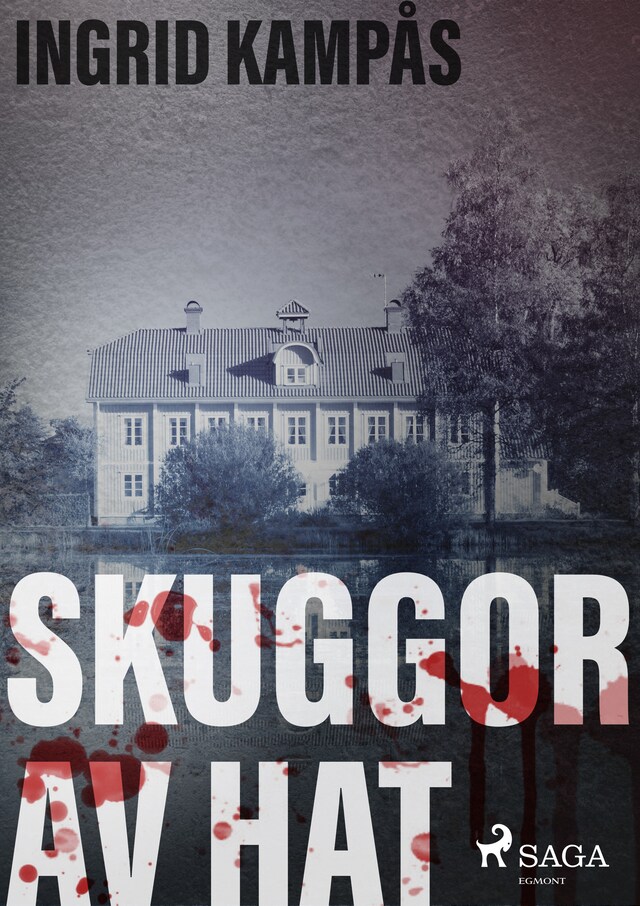 Book cover for Skuggor av hat
