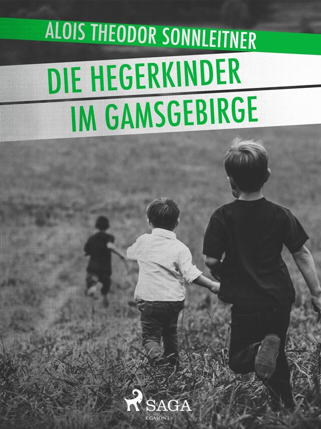 Book cover for Die Hegerkinder im Gamsgebirge