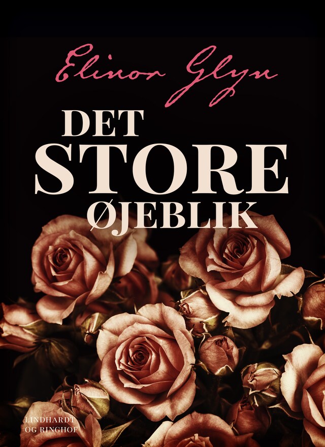 Bogomslag for Det store øjeblik